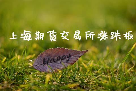 上海期货交易所涨跌板_https://m.qdlswl.com_纳指直播_第1张
