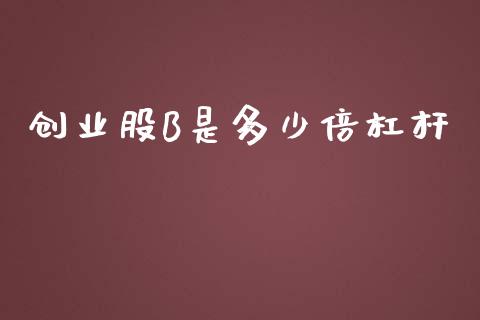 创业股B是多少倍杠杆_https://m.qdlswl.com_恒生指数直播喊单_第1张