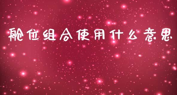 舱位组合使用什么意思_https://m.qdlswl.com_恒指德指直播室_第1张
