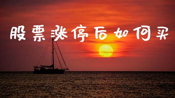股票涨停后如何买_https://m.qdlswl.com_纳指直播_第1张