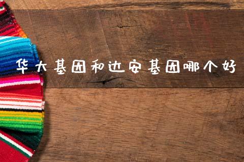 华大基因和达安基因哪个好_https://m.qdlswl.com_恒指德指直播室_第1张