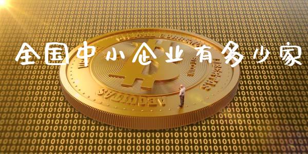 全国中小企业有多少家_https://m.qdlswl.com_恒指在线直播间_第1张