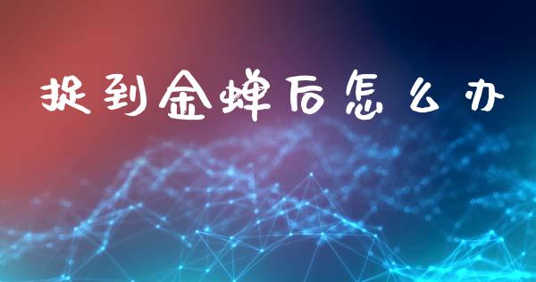 捉到金蝉后怎么办_https://m.qdlswl.com_纳指直播_第1张