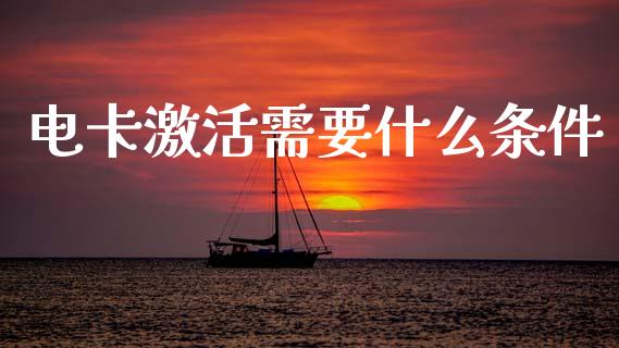 电卡激活需要什么条件_https://m.qdlswl.com_恒指在线直播间_第1张