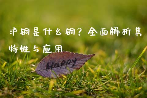泸铜是什么铜？全面解析其特性与应用_https://m.qdlswl.com_纳指直播_第1张