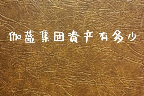 伽蓝集团资产有多少_https://m.qdlswl.com_恒指德指直播室_第1张