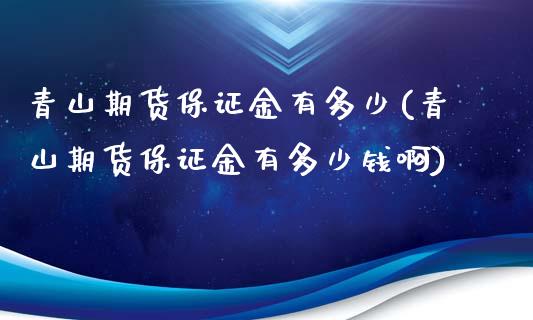 青山期货保证金有多少(青山期货保证金有多少钱啊)_https://m.qdlswl.com_恒生指数直播喊单_第1张