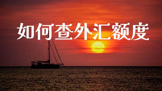 如何查外汇额度_https://m.qdlswl.com_纳指直播_第1张