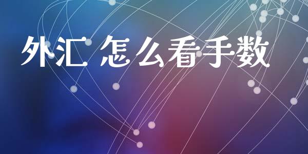 外汇 怎么看手数_https://m.qdlswl.com_恒指德指直播室_第1张
