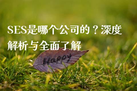 SES是哪个公司的？深度解析与全面了解_https://m.qdlswl.com_纳指直播_第1张