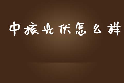 中核光伏怎么样_https://m.qdlswl.com_恒生指数直播喊单_第1张