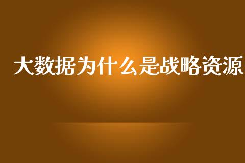 大数据为什么是战略资源_https://m.qdlswl.com_恒指在线直播间_第1张