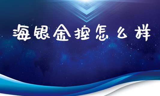 海银金控怎么样_https://m.qdlswl.com_恒指德指直播室_第1张