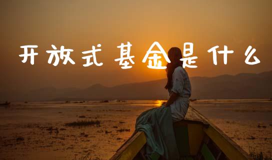 开放式基金是什么_https://m.qdlswl.com_恒生指数直播喊单_第1张