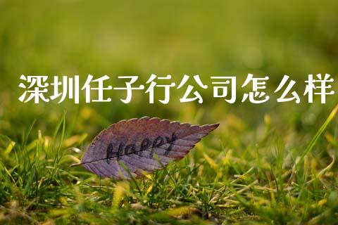 深圳任子行公司怎么样_https://m.qdlswl.com_恒指在线直播间_第1张