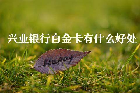 兴业银行白金卡有什么好处_https://m.qdlswl.com_恒生指数直播喊单_第1张