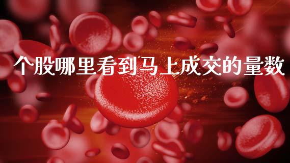 个股哪里看到马上成交的量数_https://m.qdlswl.com_恒生指数直播喊单_第1张