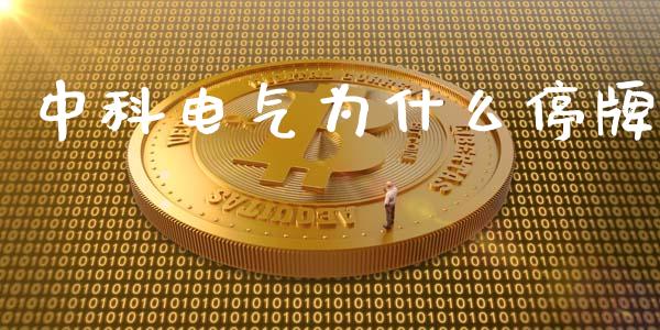 中科电气为什么停牌_https://m.qdlswl.com_恒指德指直播室_第1张