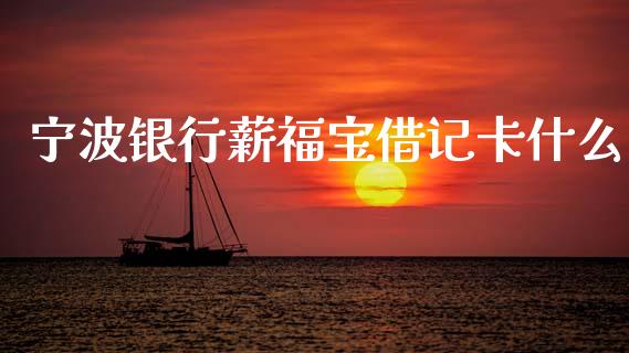 宁波银行薪福宝借记卡什么_https://m.qdlswl.com_恒生指数直播喊单_第1张