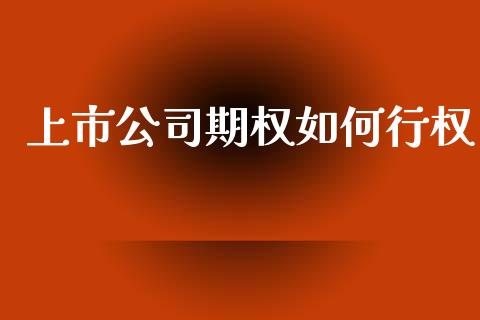 上市公司期权如何行权_https://m.qdlswl.com_恒指德指直播室_第1张