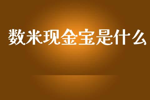 数米现金宝是什么_https://m.qdlswl.com_恒指德指直播室_第1张