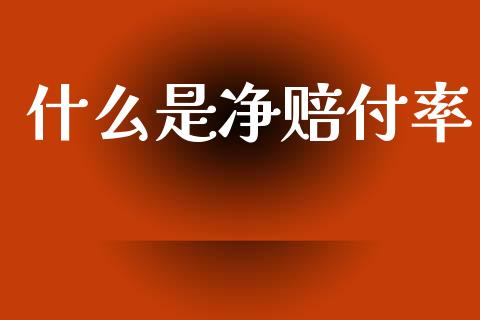 什么是净赔付率_https://m.qdlswl.com_纳指直播_第1张