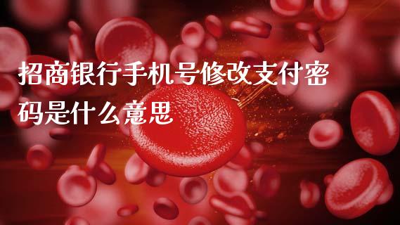 招商银行手机号修改支付密码是什么意思_https://m.qdlswl.com_恒指德指直播室_第1张