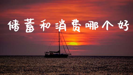 储蓄和消费哪个好_https://m.qdlswl.com_恒指在线直播间_第1张