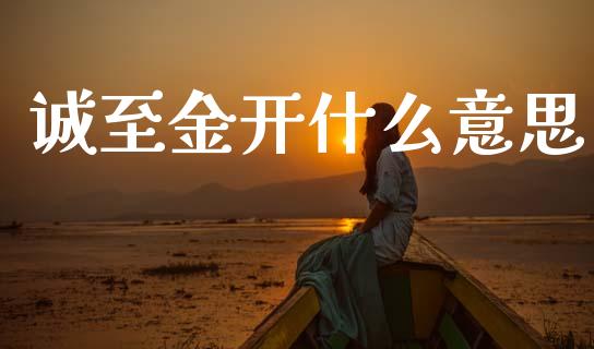 诚至金开什么意思_https://m.qdlswl.com_纳指直播_第1张