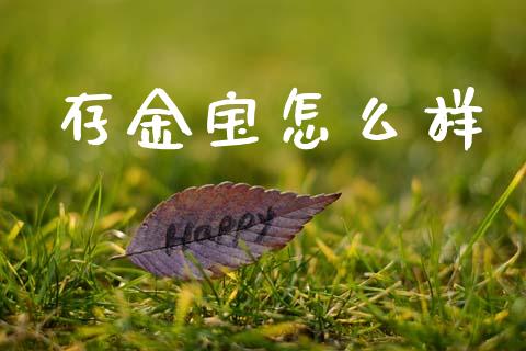 存金宝怎么样_https://m.qdlswl.com_恒生指数直播喊单_第1张