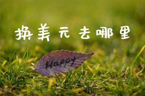 换美元去哪里_https://m.qdlswl.com_恒指德指直播室_第1张