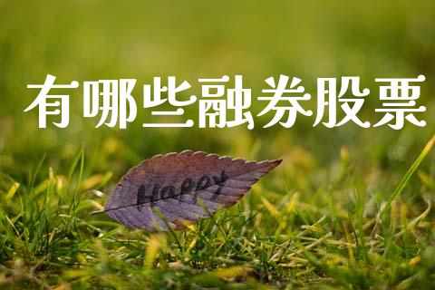 有哪些融券股票_https://m.qdlswl.com_恒指德指直播室_第1张