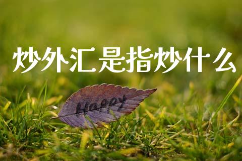 炒外汇是指炒什么_https://m.qdlswl.com_恒生指数直播喊单_第1张