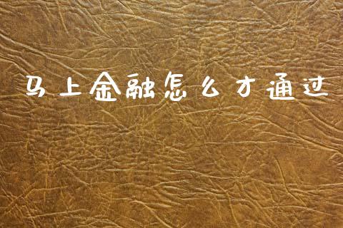 马上金融怎么才通过_https://m.qdlswl.com_纳指直播_第1张