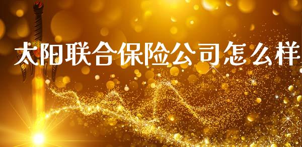 太阳联合保险公司怎么样_https://m.qdlswl.com_恒生指数直播喊单_第1张