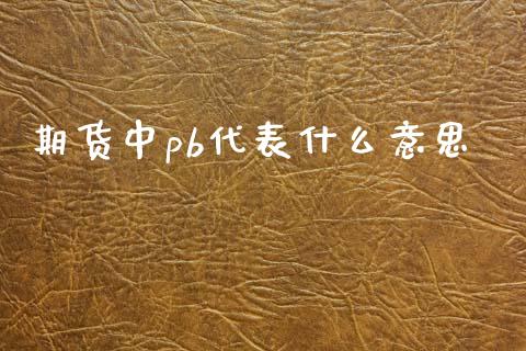 期货中pb代表什么意思_https://m.qdlswl.com_恒指德指直播室_第1张