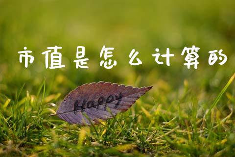 市值是怎么计算的_https://m.qdlswl.com_恒指德指直播室_第1张