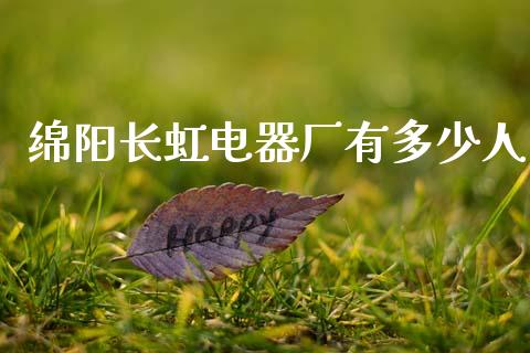 绵阳长虹电器厂有多少人_https://m.qdlswl.com_恒生指数直播喊单_第1张