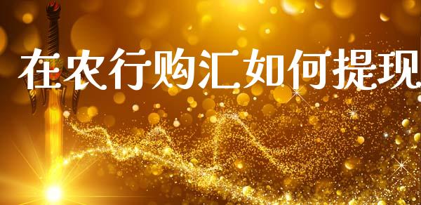在农行购汇如何提现_https://m.qdlswl.com_恒指在线直播间_第1张