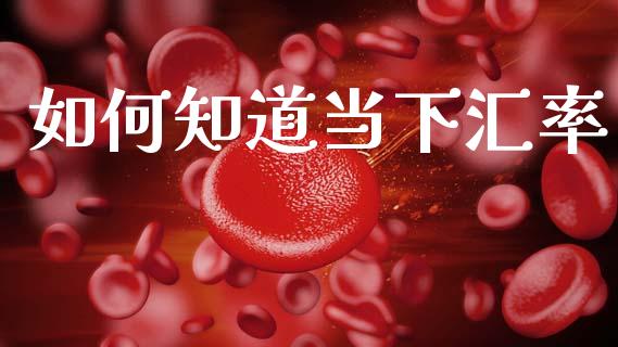 如何知道当下汇率_https://m.qdlswl.com_恒指德指直播室_第1张