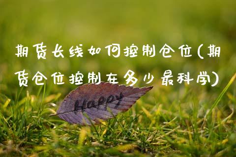 期货长线如何控制仓位(期货仓位控制在多少最科学)_https://m.qdlswl.com_恒生指数直播喊单_第1张