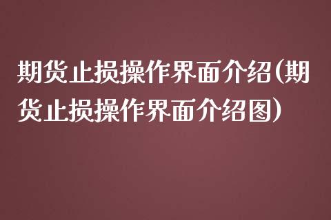 期货止损操作界面介绍(期货止损操作界面介绍图)_https://m.qdlswl.com_恒生指数直播喊单_第1张