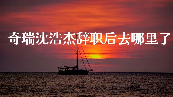 奇瑞沈浩杰辞职后去哪里了_https://m.qdlswl.com_恒生指数直播喊单_第1张