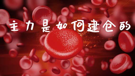 主力是如何建仓的_https://m.qdlswl.com_恒指德指直播室_第1张