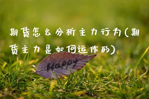 期货怎么分析主力行为(期货主力是如何运作的)_https://m.qdlswl.com_恒指德指直播室_第1张