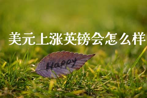 美元上涨英镑会怎么样_https://m.qdlswl.com_恒指德指直播室_第1张