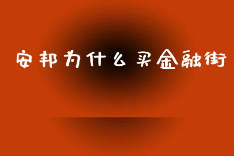 安邦为什么买金融街_https://m.qdlswl.com_纳指直播_第1张