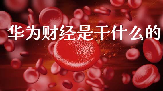 华为财经是干什么的_https://m.qdlswl.com_恒指德指直播室_第1张