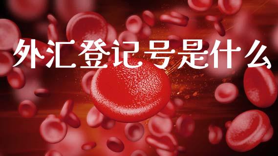 外汇登记号是什么_https://m.qdlswl.com_纳指直播_第1张