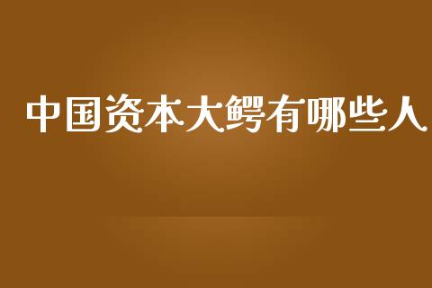 中国资本大鳄有哪些人_https://m.qdlswl.com_恒指德指直播室_第1张
